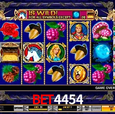 bet4454 Rio de Janeiro - Bonus Terms